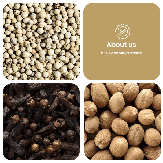 indo golden spice profil 2(1) indo golden spice profil 2(1)