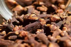 gallery - cloves (1)