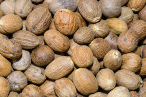 gallery - nutmeg (3)