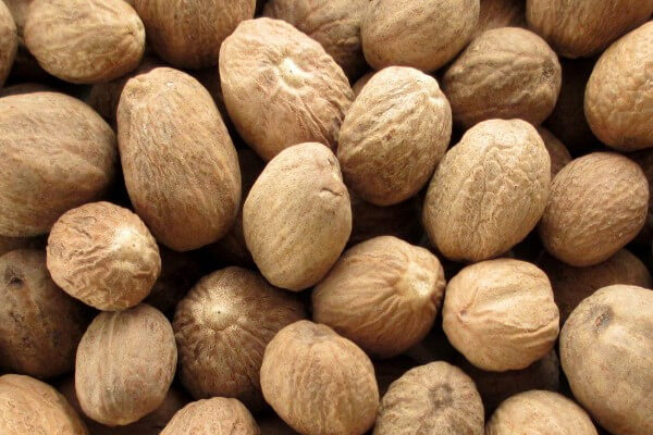 nutmeg supplier indonesia nutmeg supplier indonesia