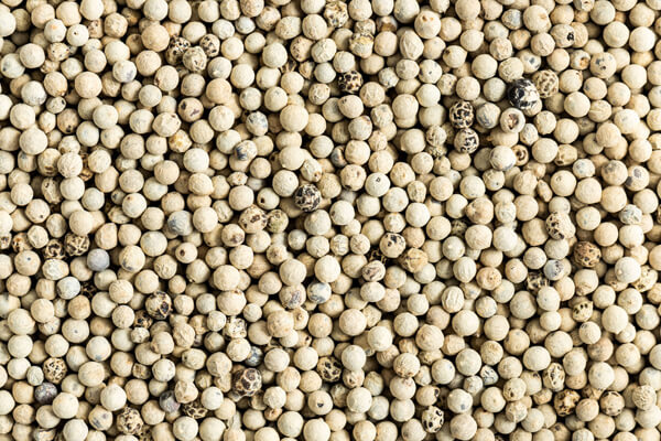white pepper supplier indonesia white pepper supplier indonesia